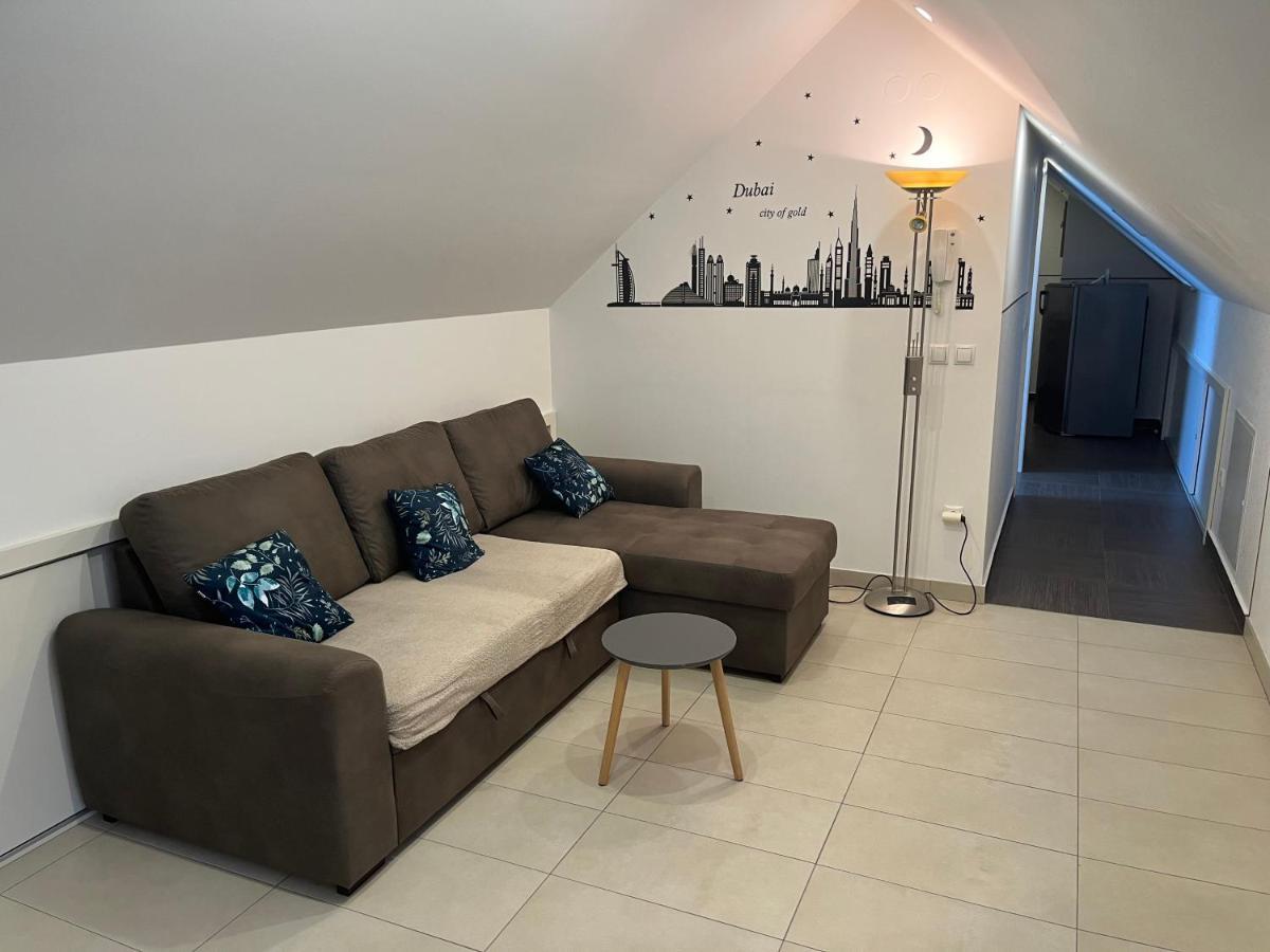 Apartament Apartma Ajda Kranj Zewnętrze zdjęcie